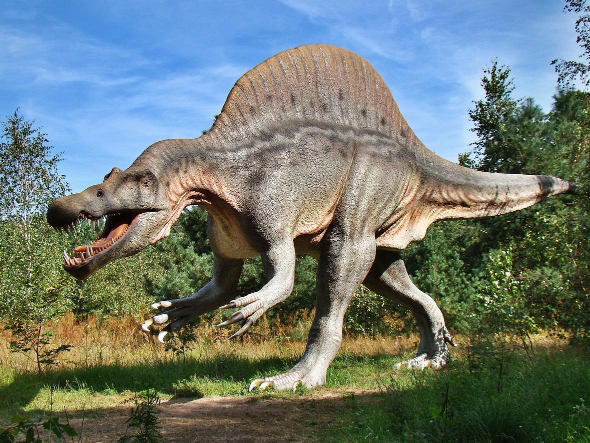 Real life dinosaur!